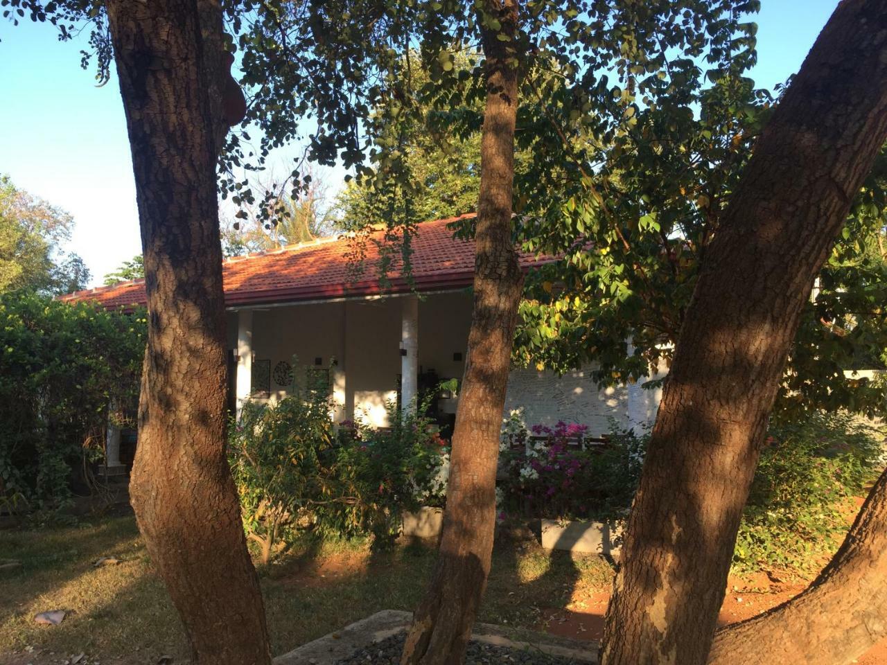 Goddess Garden بيت ضيافة *